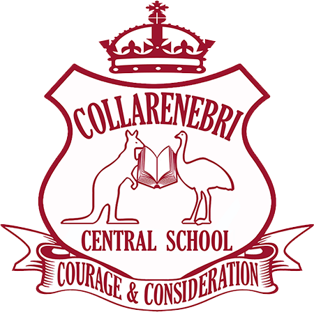 Collarenebri Community School