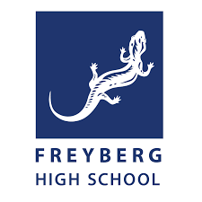 Freyberg High School