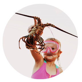circle-lobster-bright